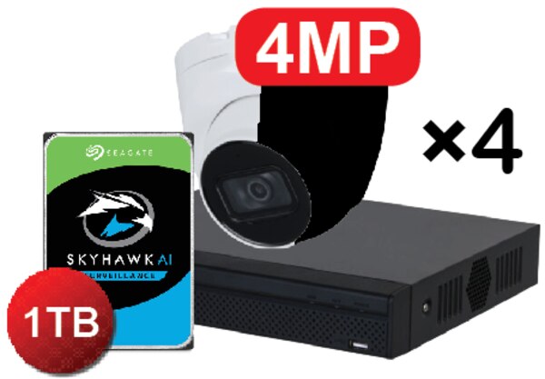 KIT-NV21A04-P4-S3-1TB+IP9124TB-28X4